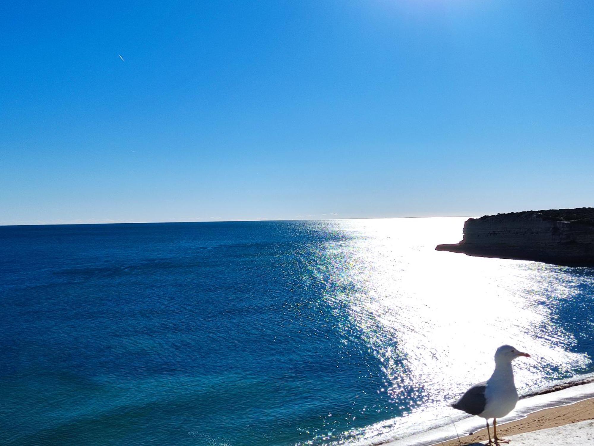 2a Palmeiras Com Piscina - Casas & Papeis Apartment Porches (Algarve)