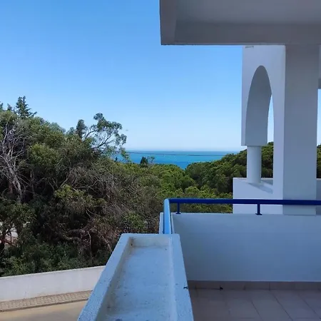 2A Palmeiras Com Piscina - Casas & Papeis Porches  Extérieur photo